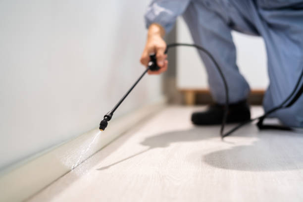 Licensed Cockroach Control service in Vernon, AL - Nex Pest Control