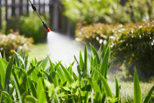 24/7 Emergency Cockroach Control experts in Vernon, AL
