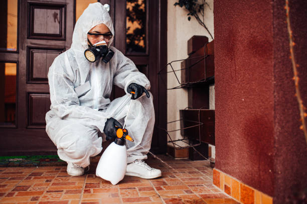 Reliable Cockroach Control contractor in Vernon, AL by Nex Pest Control